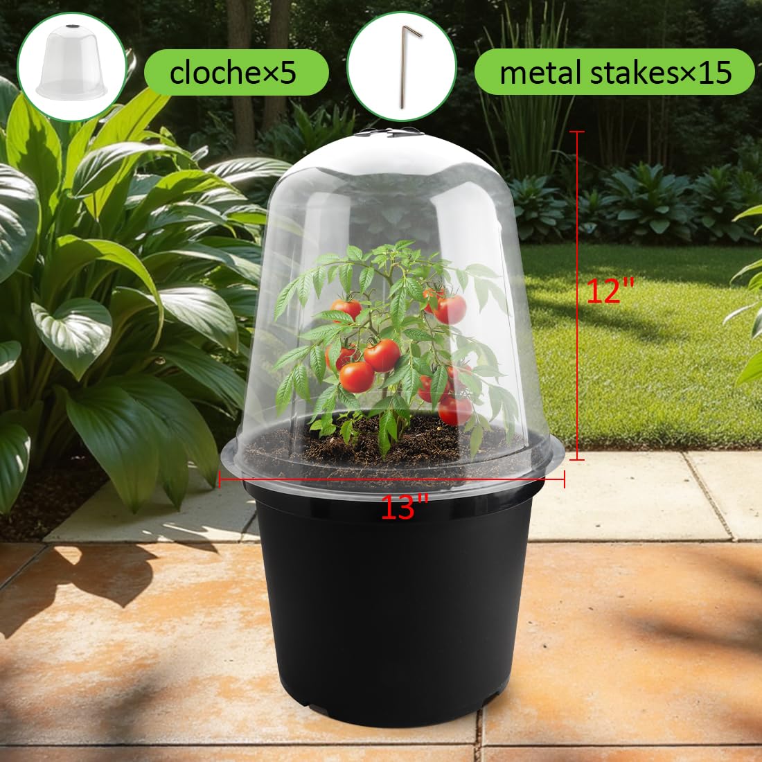 RooTrimmer crystal-clear garden cloche enabling easy plant monitoring
