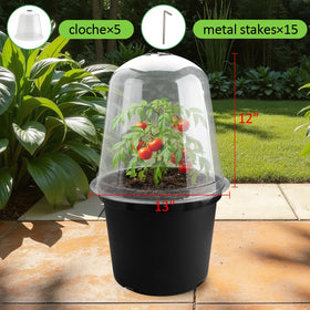 RooTrimmer crystal-clear garden cloche enabling easy plant monitoring