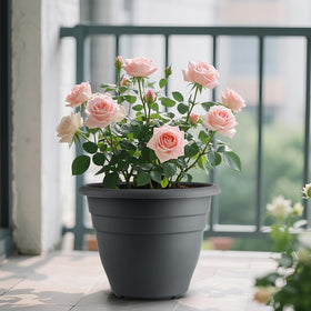 RooTrimmer decorative gray garden pot enhances home and garden spaces.