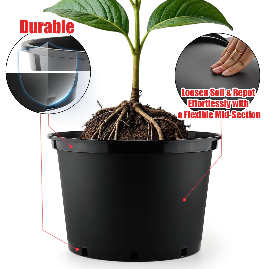 RooTrimmer pots feature drainage holes to prevent overwatering and root issues.