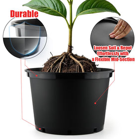 RooTrimmer pots feature drainage holes to prevent overwatering and root issues.