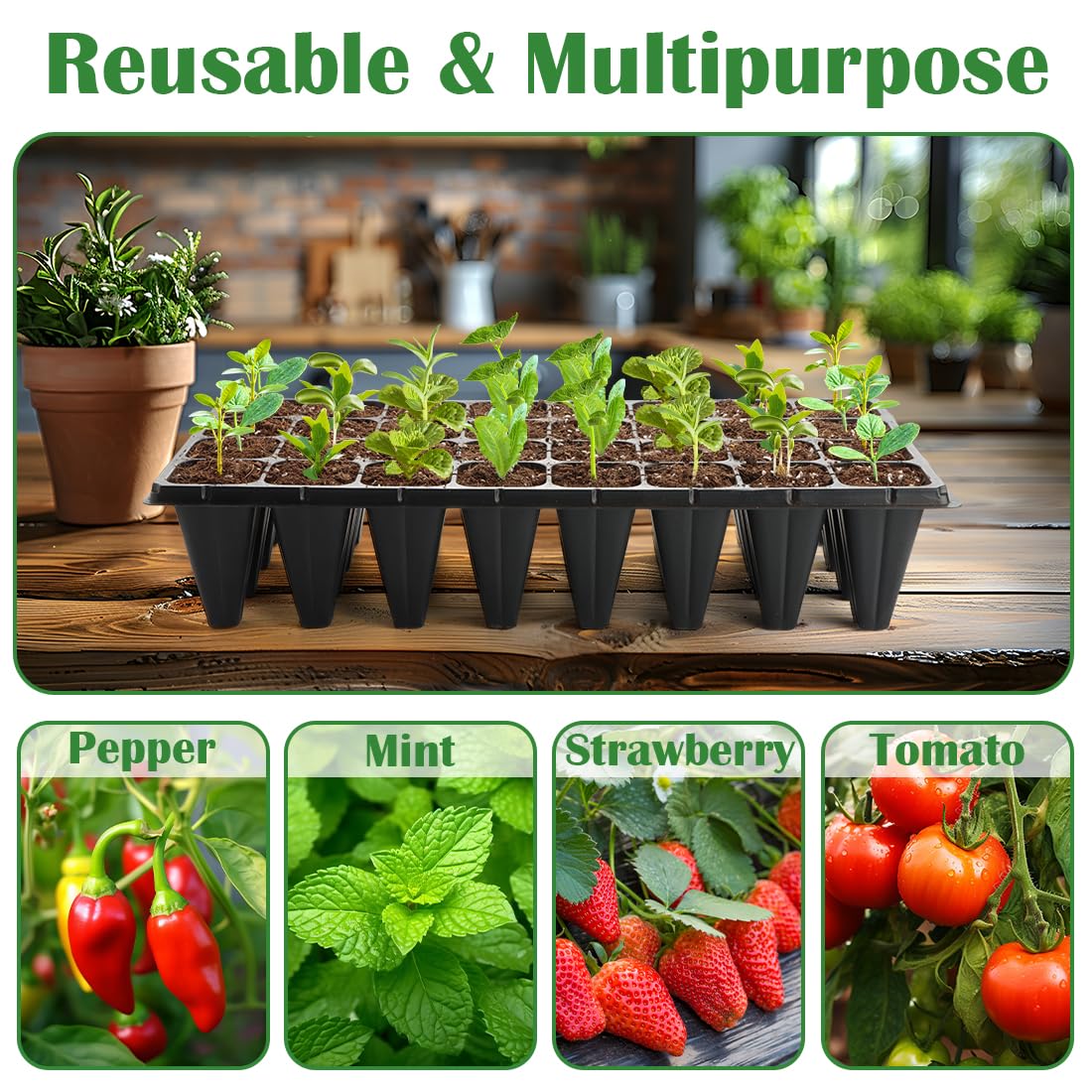 RooTrimmer durable 1mm plastic tray supports long-term reuse and easy handling.