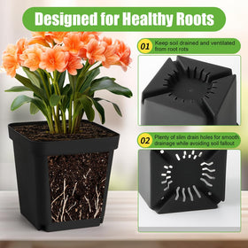 RooTrimmer durable reusable plastic pots designed for long-term gardening use