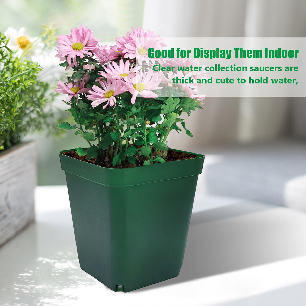 RooTrimmer durable square nursery pot, green, built for season-after-season use.