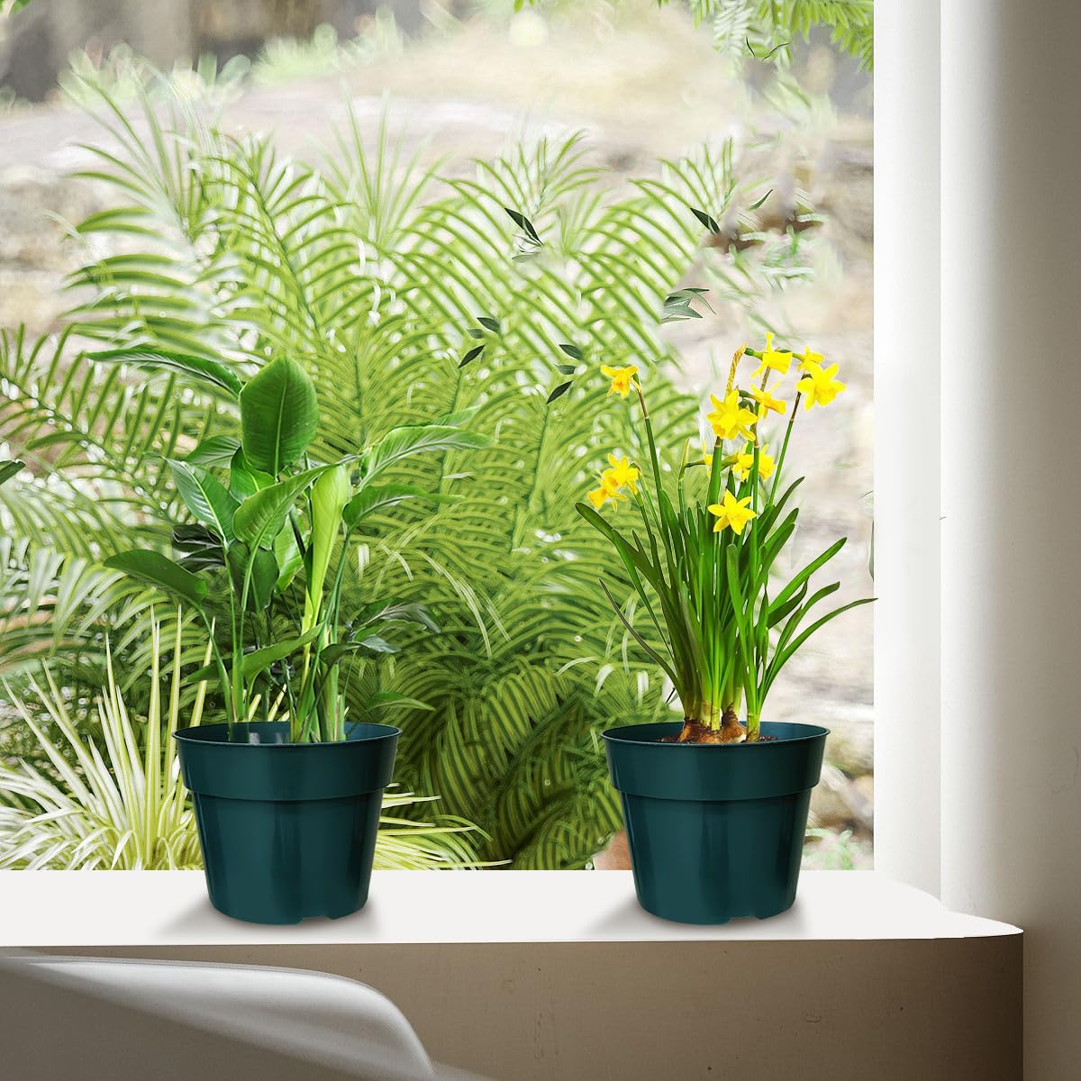RooTrimmer easy-clean 6-inch pot designed for repeated use.