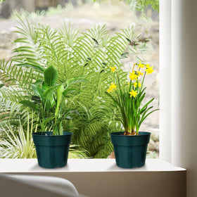 RooTrimmer easy-clean 6-inch pot designed for repeated use.