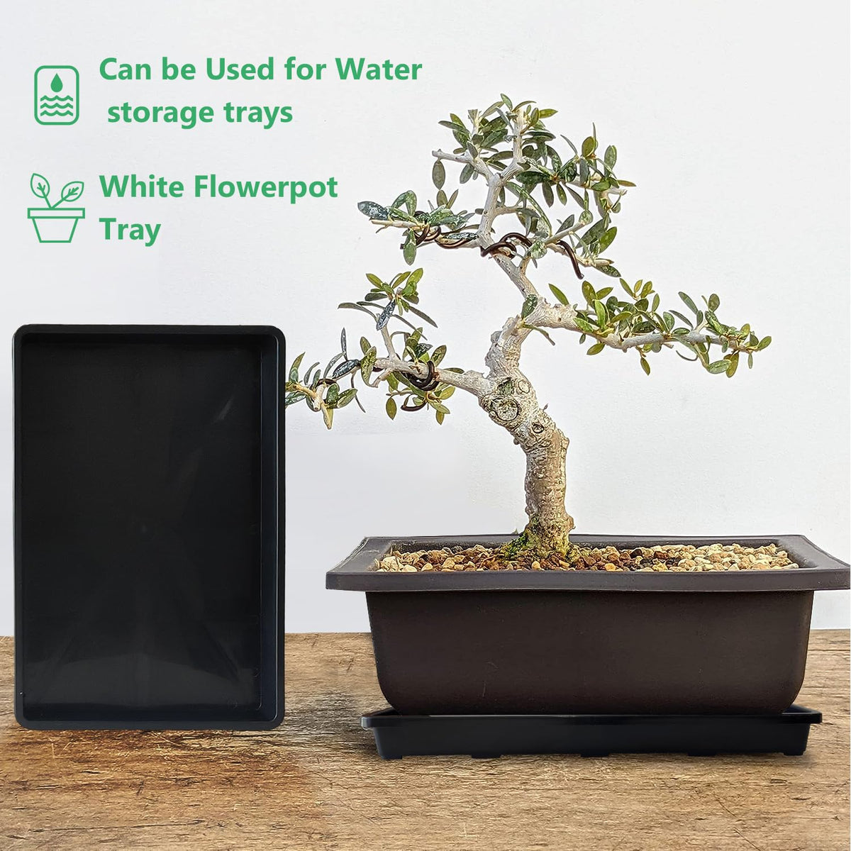 RooTrimmer makes moving pots leak-free and clean, saving watering time.
