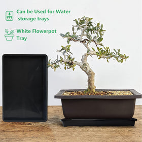 RooTrimmer makes moving pots leak-free and clean, saving watering time.