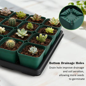 RooTrimmer elevated bases reduce overwatering and improve airflow.