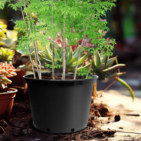 RooTrimmer five-pack pots help manage multiple planting projects at once.