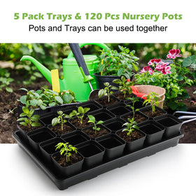 RooTrimmer trays have no drainage holes offering flexible storage