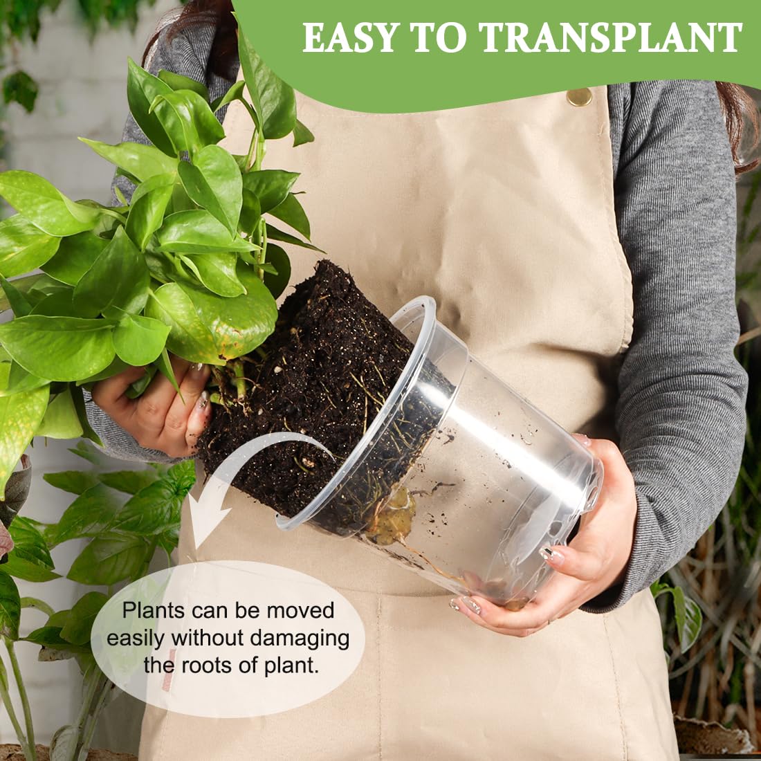 Flexible, durable RooTrimmer plastic pot for easy handling.
