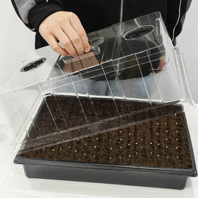 RooTrimmer four-pack seed trays for easy transport and uniform germination.