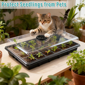 RooTrimmer germination-friendly setup with humidity control.