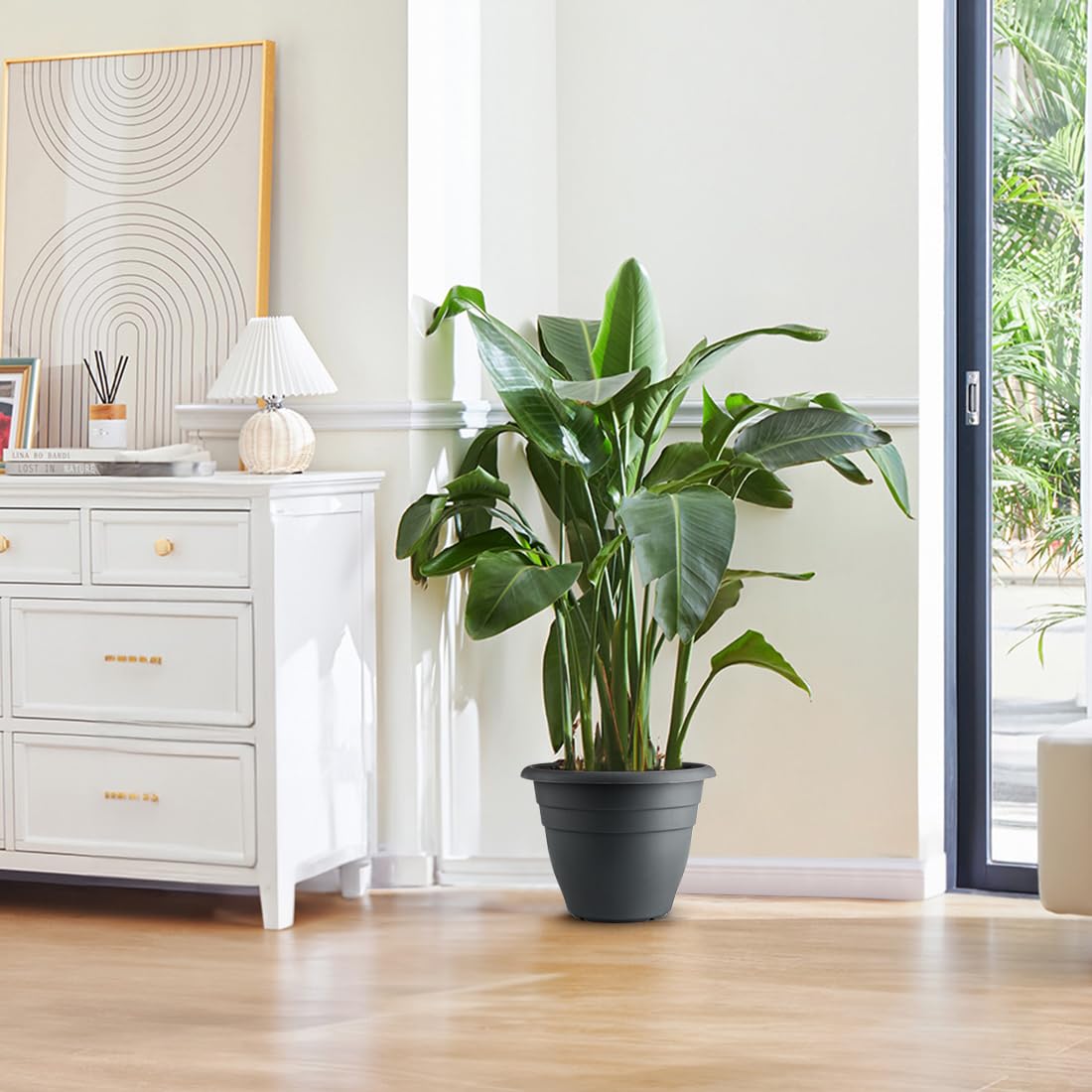 RooTrimmer pot suits indoor and outdoor spaces with easy cleaning.