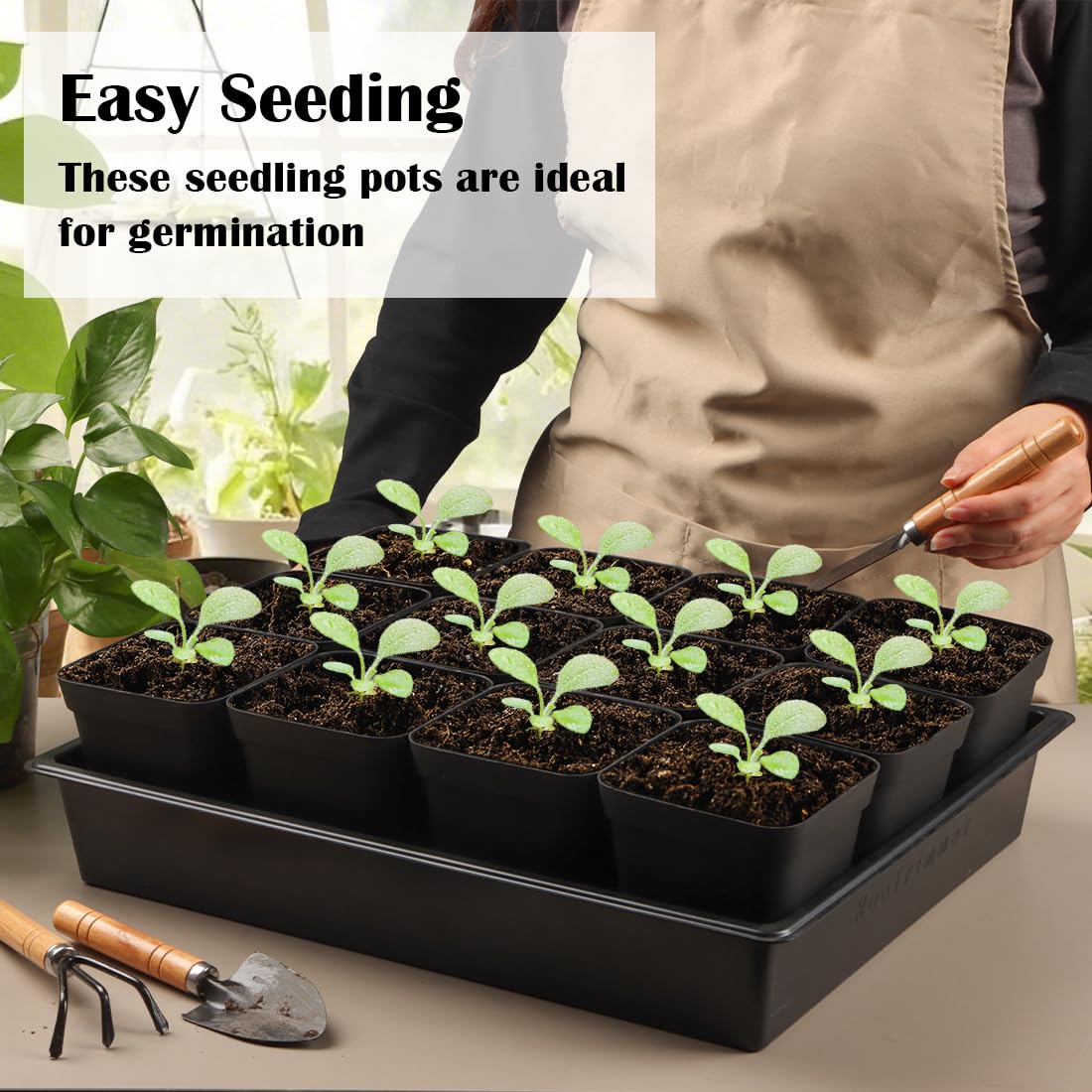 RooTrimmer greenhouse-friendly tray ideal for propagation and climate-controlled setups.