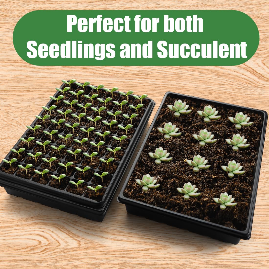 RooTrimmer greenhouse germination kit for seed propagation