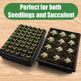 RooTrimmer greenhouse germination kit for seed propagation