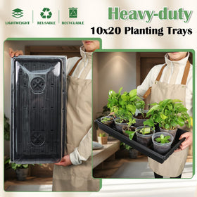 RooTrimmer herb seed tray perfect for mint and culinary herbs.