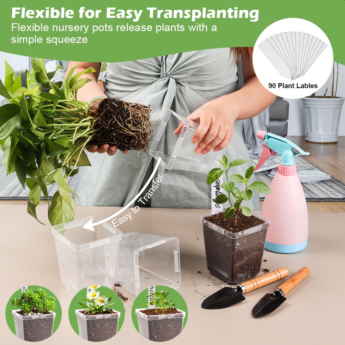 RooTrimmer pots ideal for herbs and succulent propagation