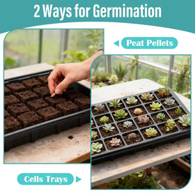 RooTrimmer home garden propagation system for versatile use.