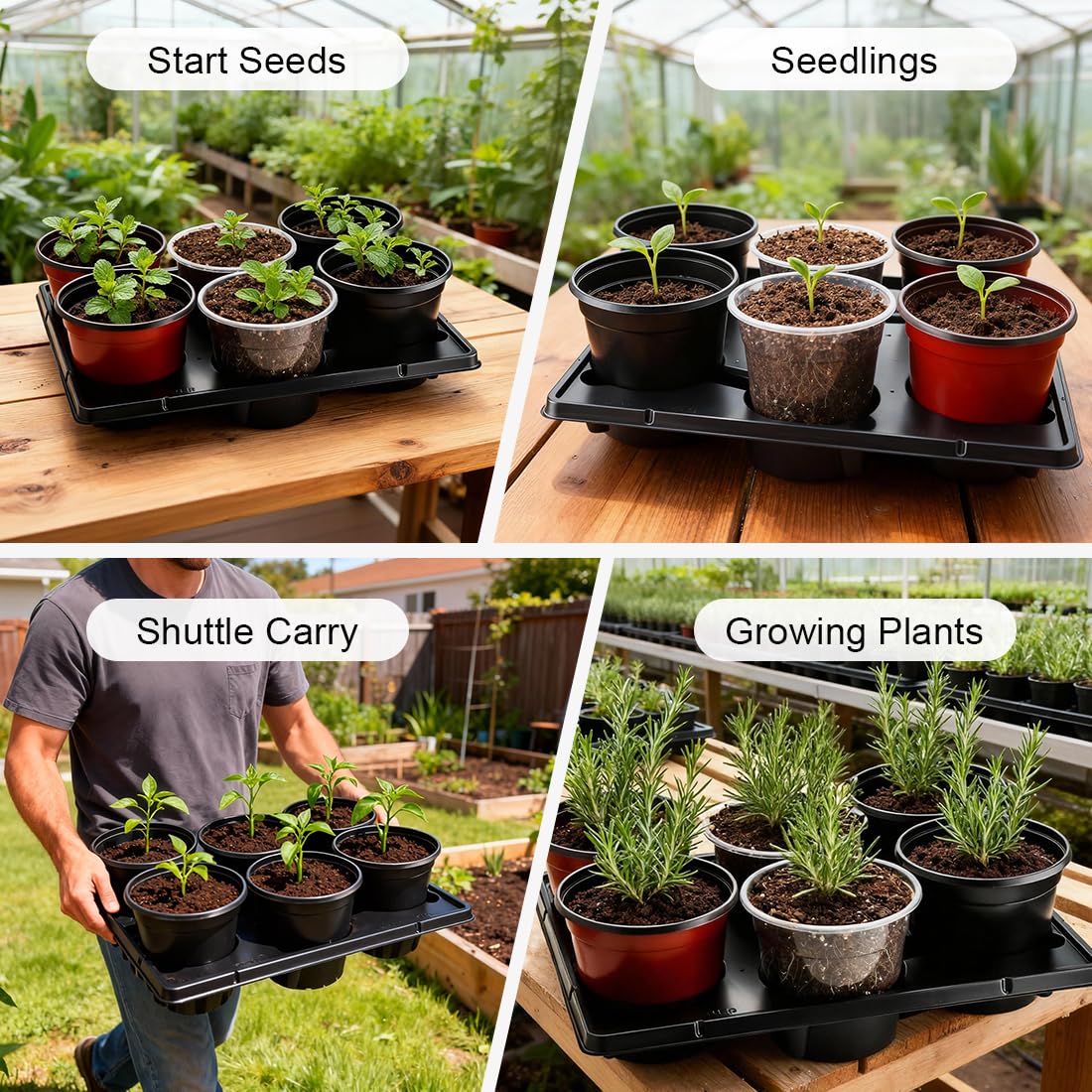 RooTrimmer suitable for greenhouse and home plant maintenance.