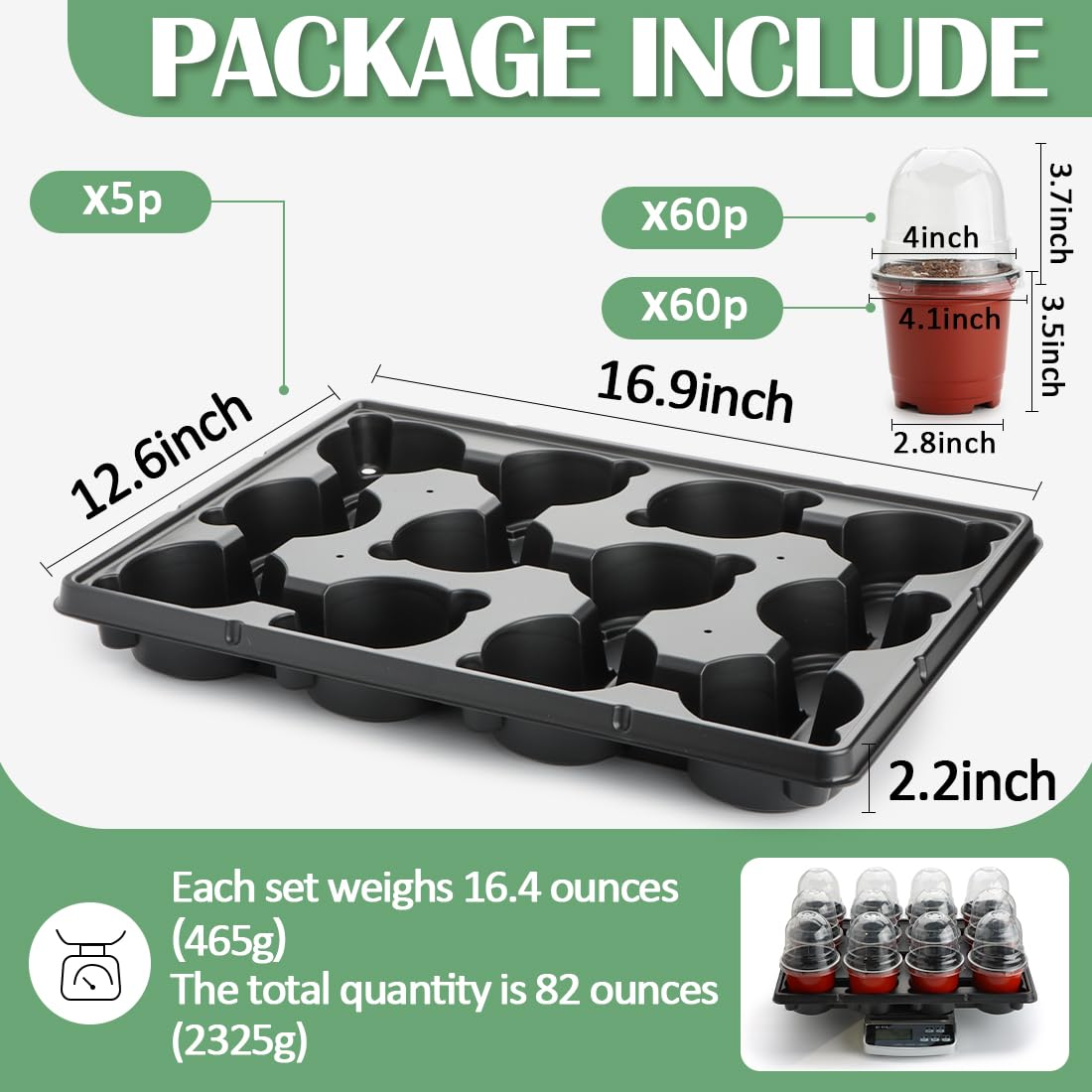 RooTrimmer humidity domes maintain moisture levels for consistent seedling germination