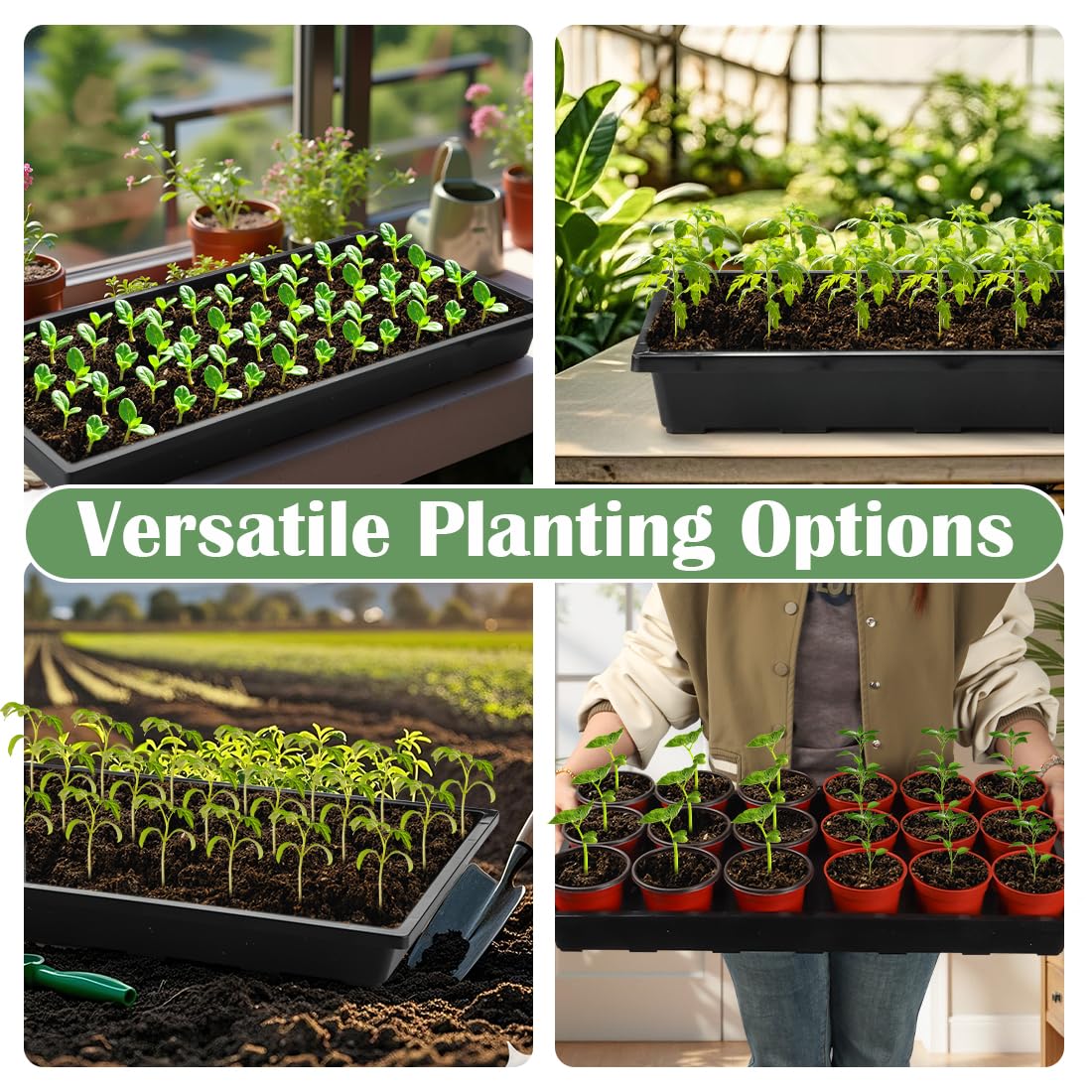 RooTrimmer indoor gardening seed tray suitable for houseplants and starters.