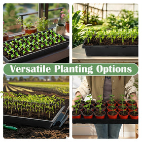 RooTrimmer indoor gardening seed tray suitable for houseplants and starters.