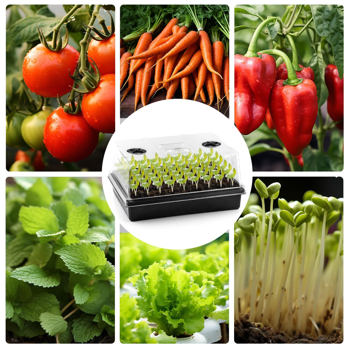 RooTrimmer indoor gardening tray helps create an organized germination setup.