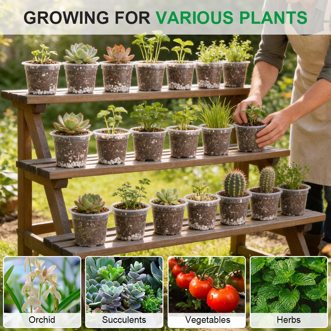RooTrimmer indoor outdoor plant pot supports space efficient gardening