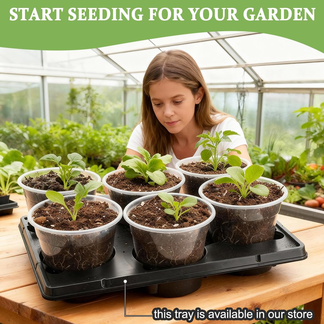 Indoor or outdoor use RooTrimmer clear pots for seed germination.