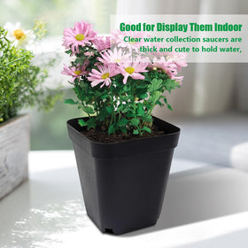 RooTrimmer indoor outdoor use scene with versatile growing pots