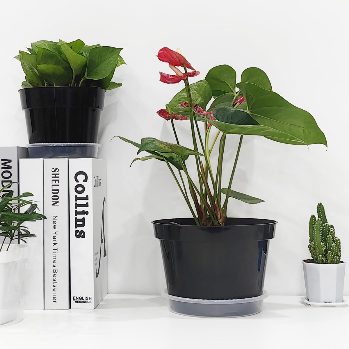RooTrimmer 8-inch pots add elegant display for herbs and flowers.