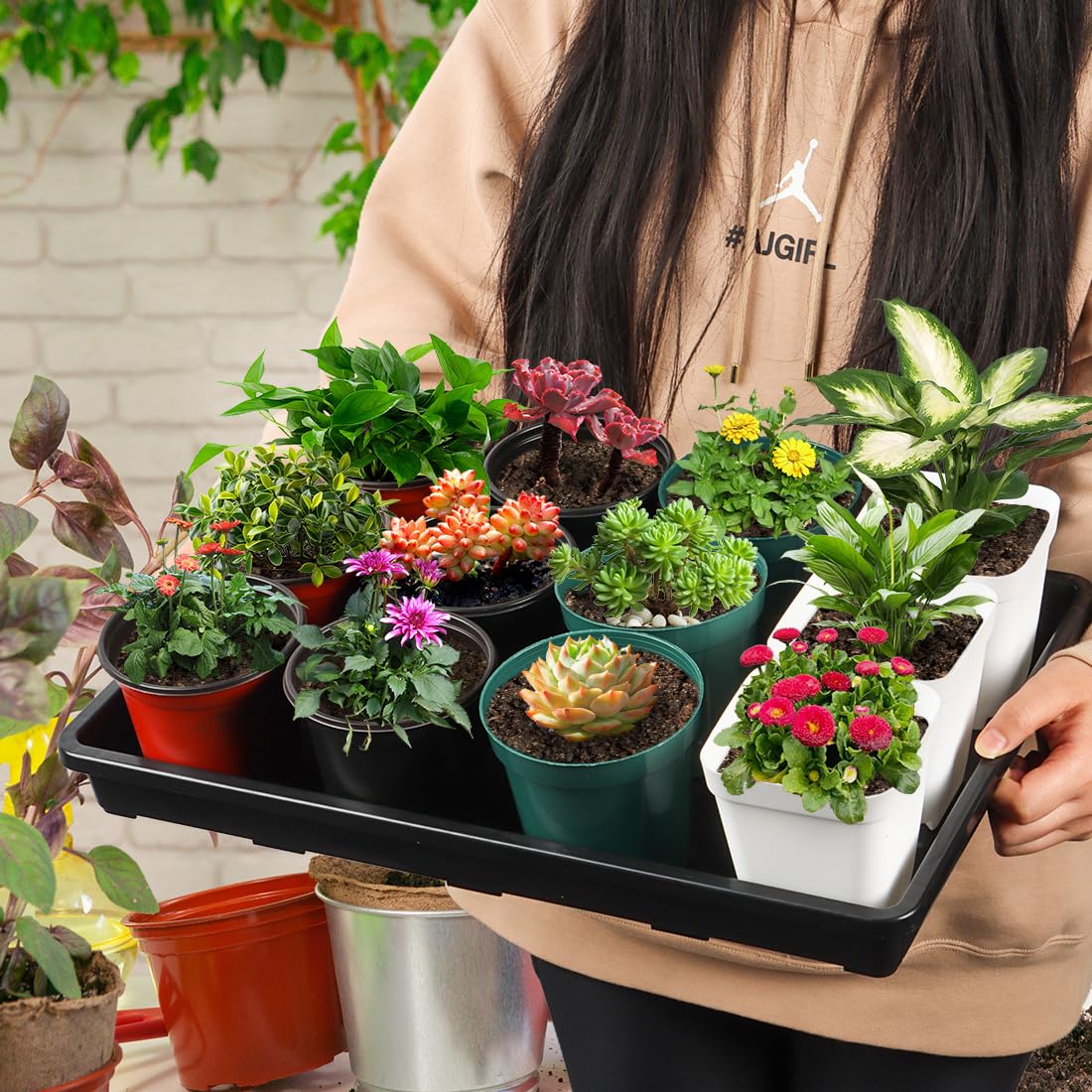 RooTrimmer leak-free design prevents soil stains during watering