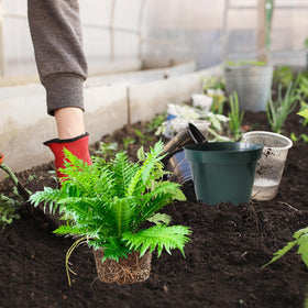 RooTrimmer lightweight pot that is easy to move for rearranging plants.