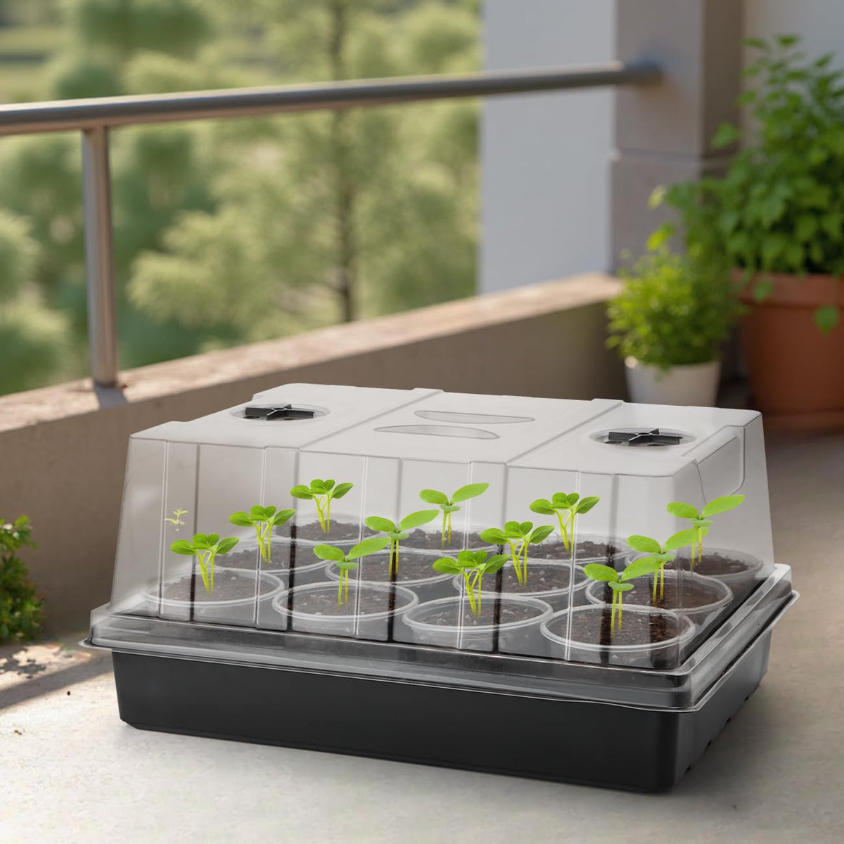 RooTrimmer medium-size tray 15x11 inches offers sturdy handling and reduced transplant shock.