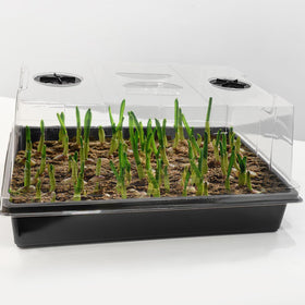 RooTrimmer microgreens and herbs propagation kit for compact indoor gardening.