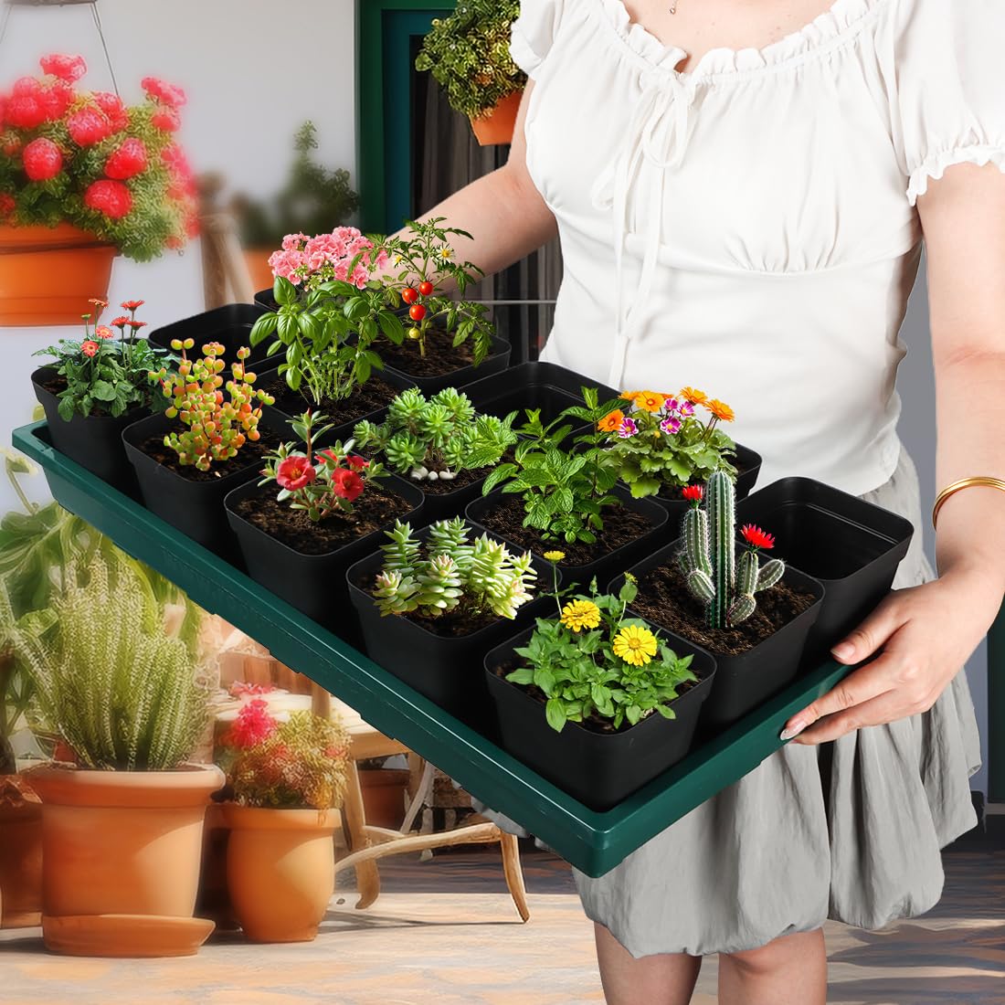 RooTrimmer microgreens trays fit compact greenhouse setups