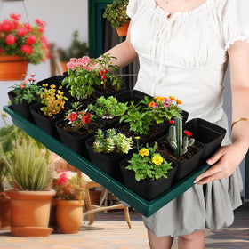 RooTrimmer microgreens trays fit compact greenhouse setups