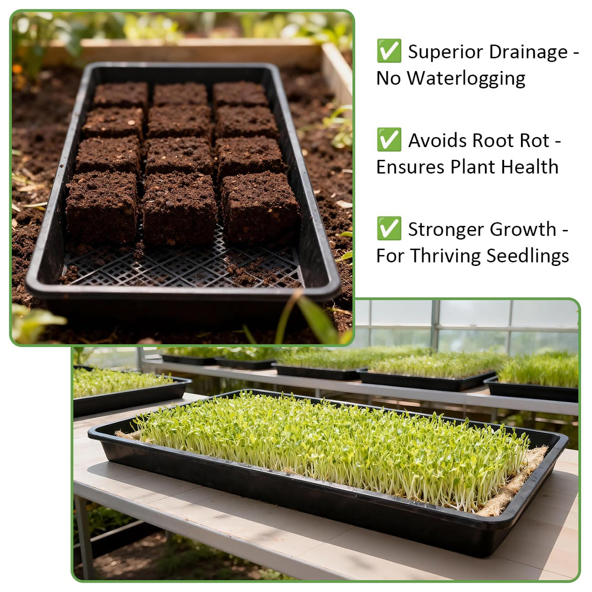 RooTrimmer microgreens and wheatgrass tray supports rapid germination with optimized drainage.