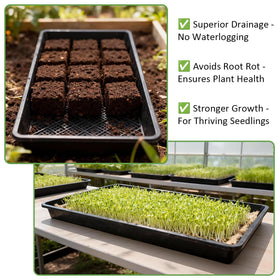 RooTrimmer microgreens and wheatgrass tray supports rapid germination with optimized drainage.