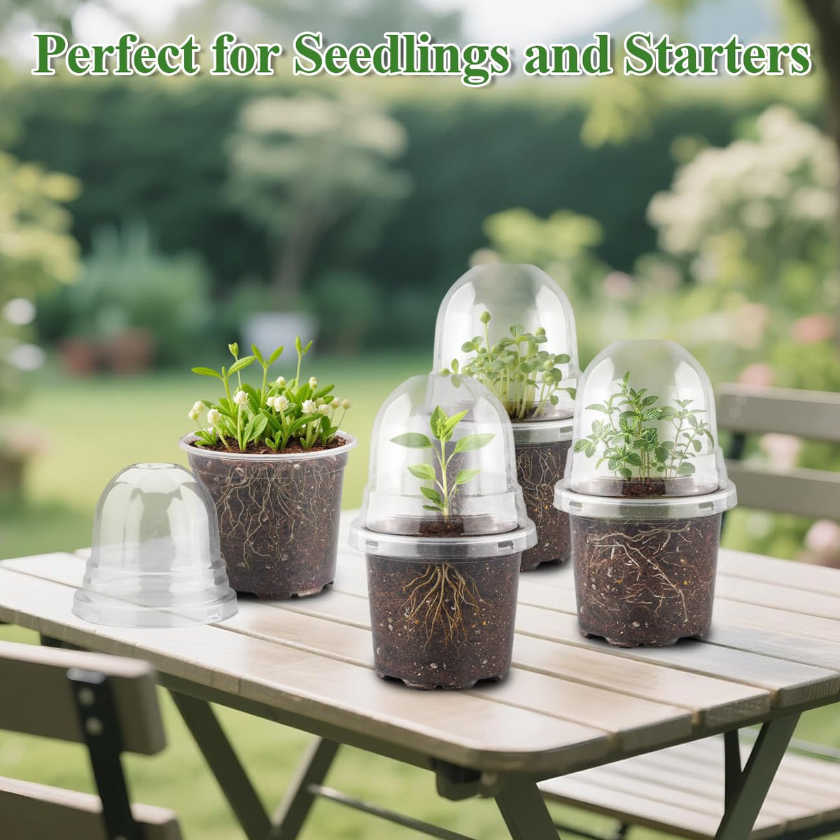 RooTrimmer humidity dome promotes a mini greenhouse effect for uniform germination