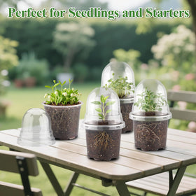 RooTrimmer humidity dome promotes a mini greenhouse effect for uniform germination