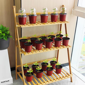 RooTrimmer versatile mini plant containers organize a compact growing area