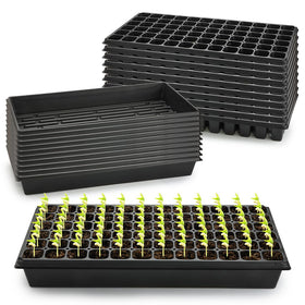 RooTrimmer multi-tray system streamlines labeling and batch propagation.