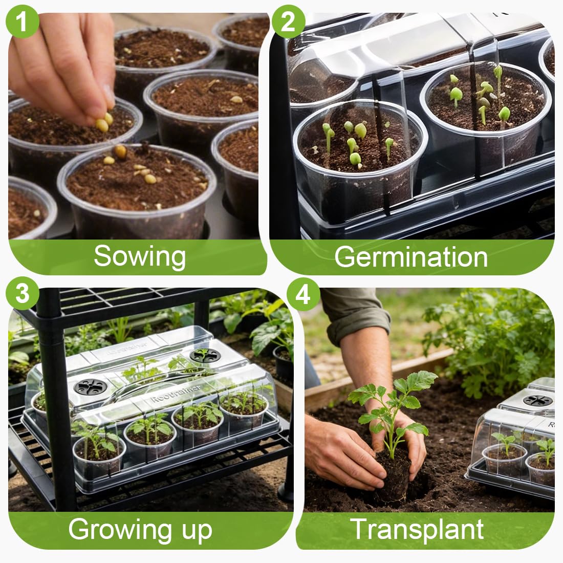 RooTrimmer for new gardeners kit makes indoor germination approachable and enjoyable
