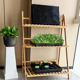 RooTrimmer 5-pack includes all trays for complete planting setup.