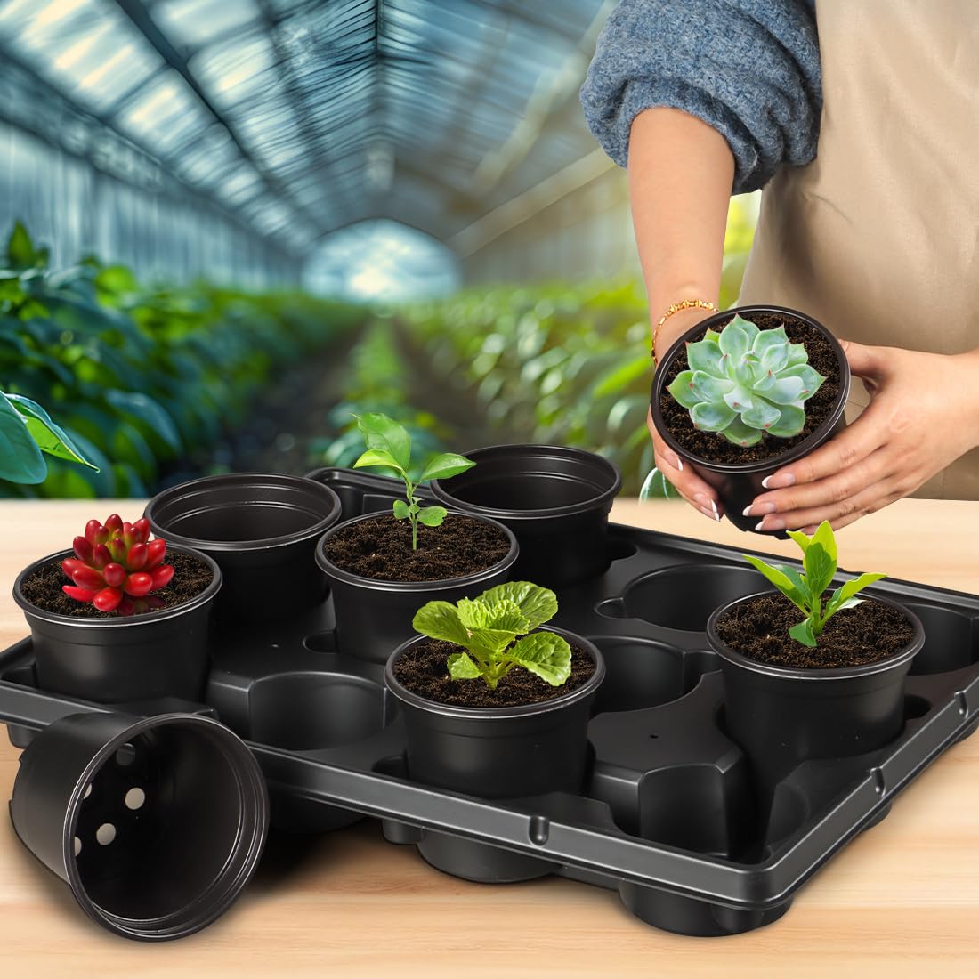 RooTrimmer BPA-free plastic material close-up showing durability.