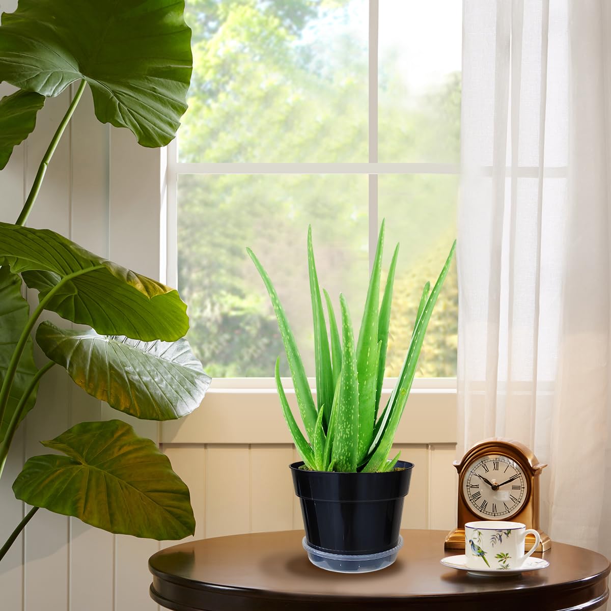 RooTrimmer indoor outdoor setup showing neat plant organization.